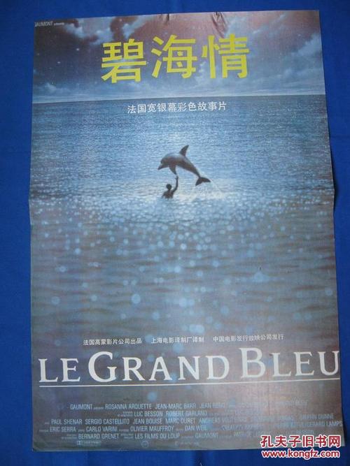 哪里有假执照